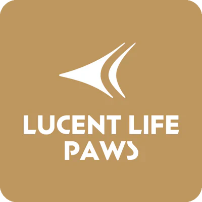 lucent-life-paws